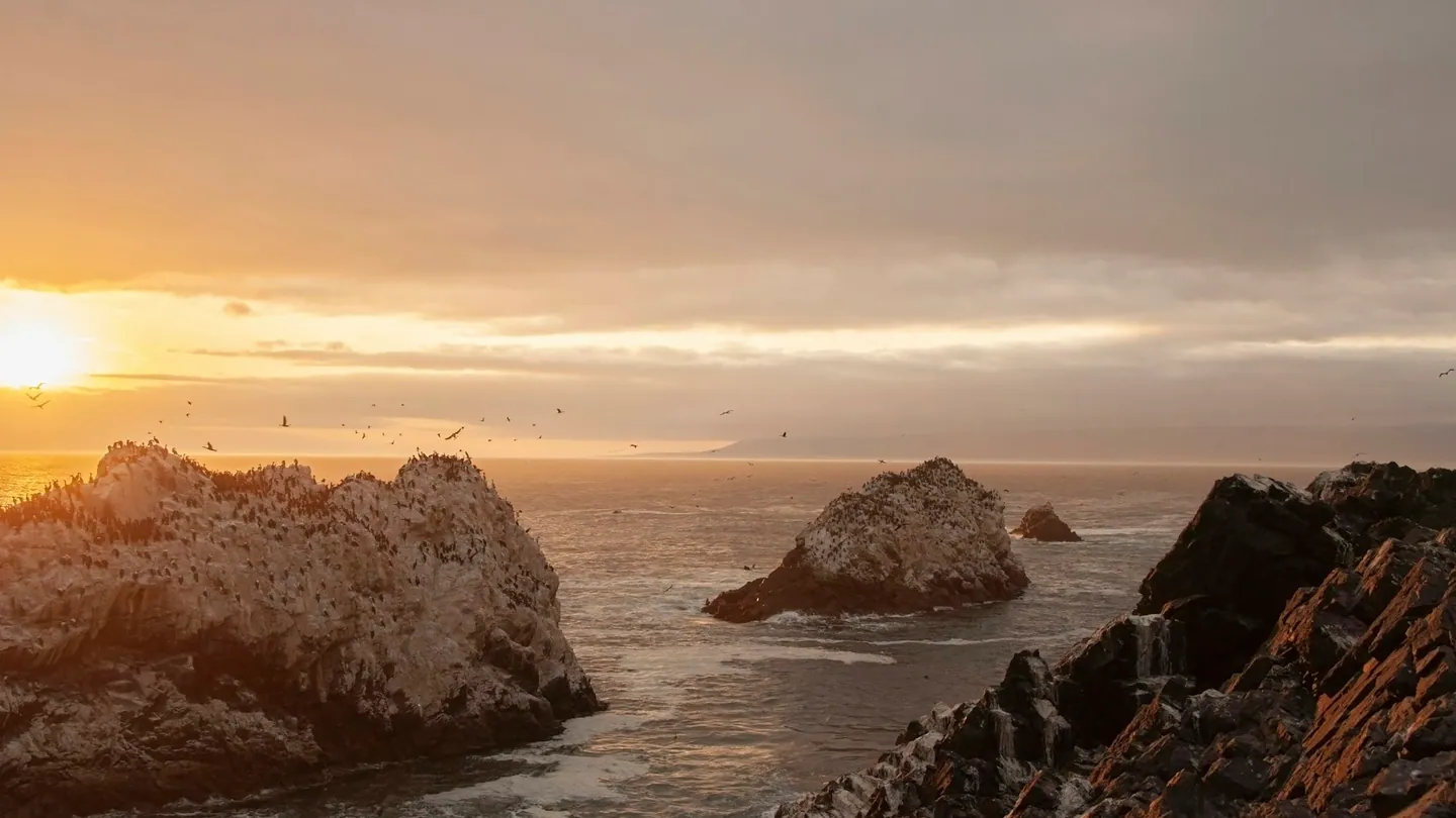 Atardecer sobre la costa rocosa de Punta San Pablo, Tacna.